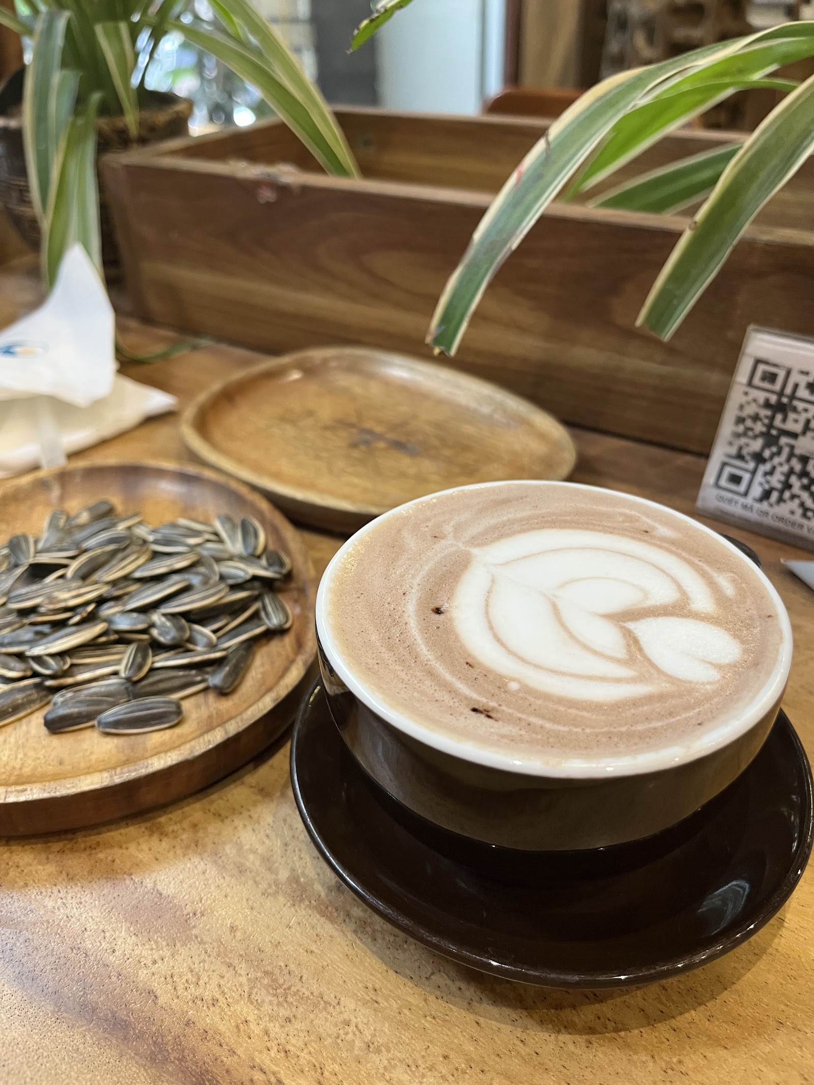 THE WISELANDS Coffee